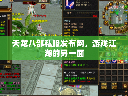 天龙八部私服发布网，游戏江湖的另一面