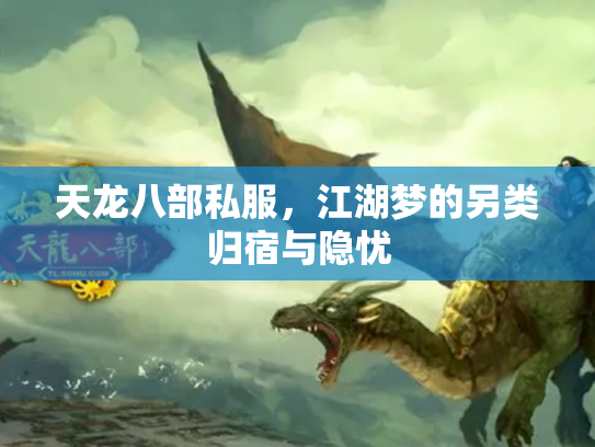天龙八部私服,江湖梦的另类归宿与隐忧 天龙八部私服,江湖梦的另类归宿与隐忧