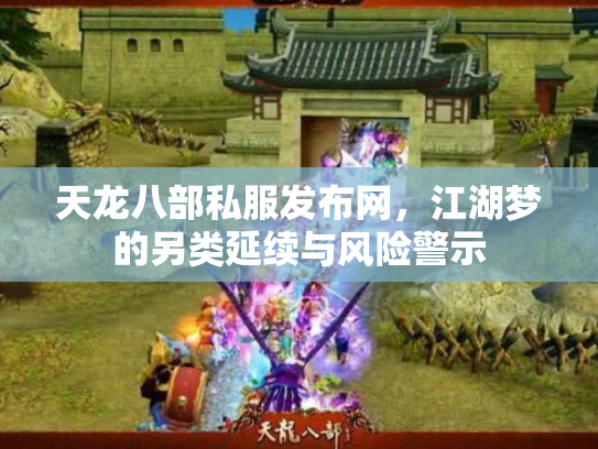 天龙八部私服发布网，江湖梦的另类延续与风险警示