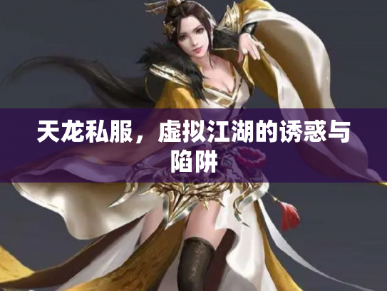 天龙私服，虚拟江湖的诱惑与陷阱