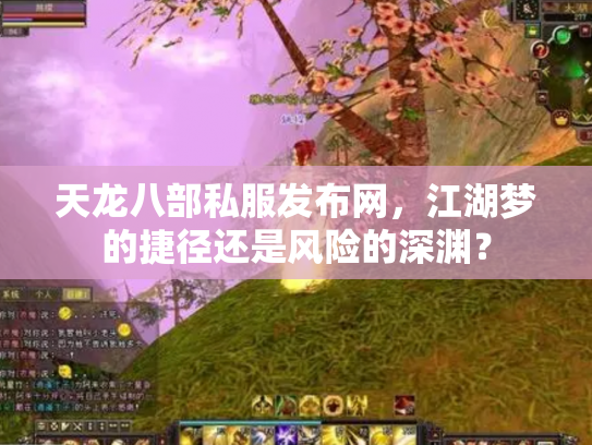 天龙八部私服发布网，江湖梦的捷径还是风险的深渊？