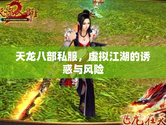 天龙八部私服，虚拟江湖的诱惑与风险