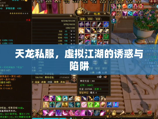 天龙私服，虚拟江湖的诱惑与陷阱