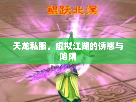 天龙私服，虚拟江湖的诱惑与陷阱