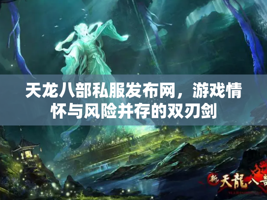天龙八部私服发布网，游戏情怀与风险并存的双刃剑