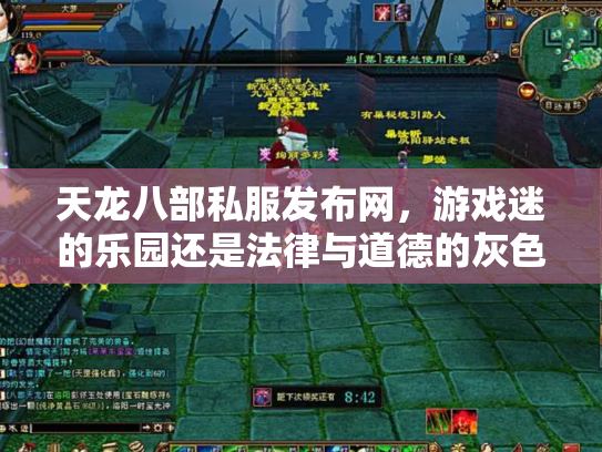天龙八部私服发布网，游戏迷的乐园还是法律与道德的灰色地带？