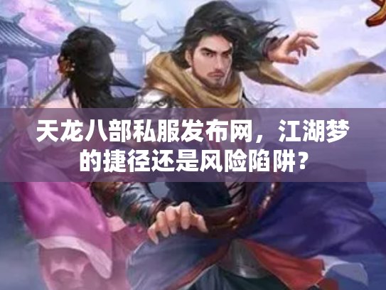 天龙八部私服发布网，江湖梦的捷径还是风险陷阱？
