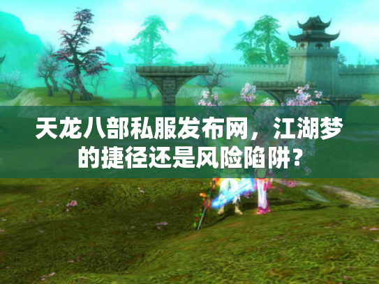天龙八部私服发布网，江湖梦的捷径还是风险陷阱？