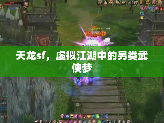 天龙sf，虚拟江湖中的另类武侠梦