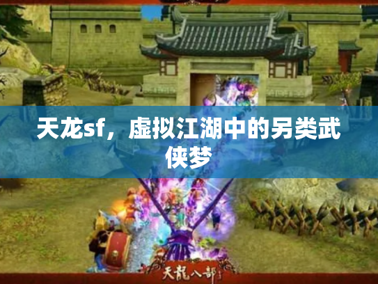 天龙sf，虚拟江湖中的另类武侠梦