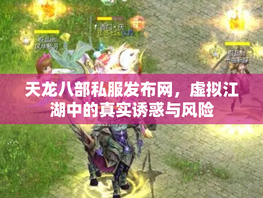 天龙八部私服发布网，虚拟江湖中的真实诱惑与风险