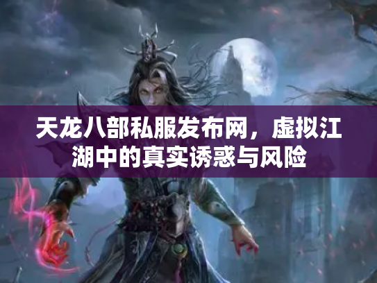 天龙八部私服发布网，虚拟江湖中的真实诱惑与风险