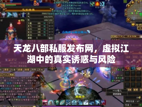 天龙八部私服发布网，虚拟江湖中的真实诱惑与风险
