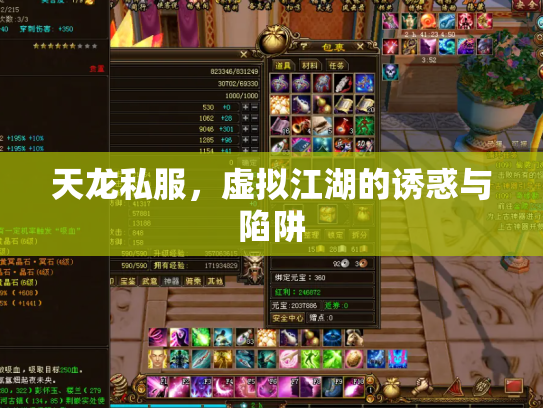 天龙私服，虚拟江湖的诱惑与陷阱