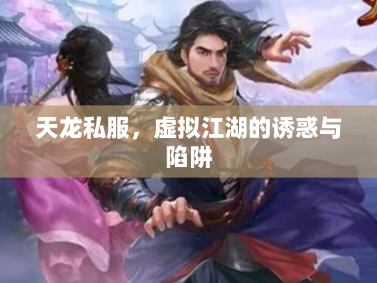 天龙私服，虚拟江湖的诱惑与陷阱