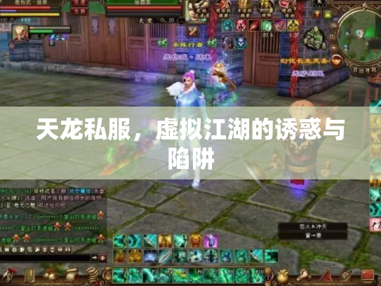 天龙私服，虚拟江湖的诱惑与陷阱