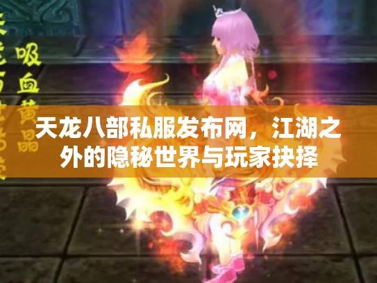天龙八部私服发布网，江湖之外的隐秘世界与玩家抉择