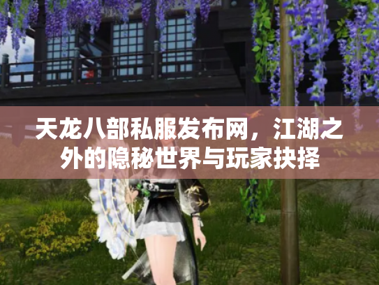 天龙八部私服发布网，江湖之外的隐秘世界与玩家抉择