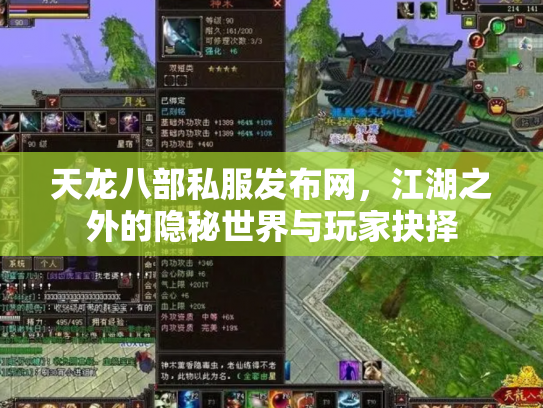 天龙八部私服发布网，江湖之外的隐秘世界与玩家抉择