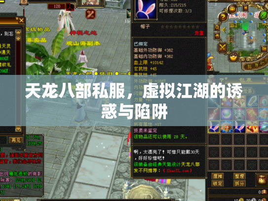 天龙八部私服，虚拟江湖的诱惑与陷阱