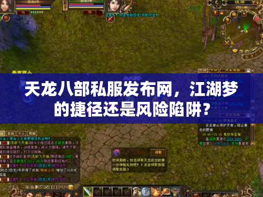 天龙八部私服发布网，江湖梦的捷径还是风险陷阱？
