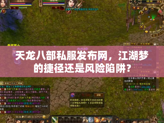天龙八部私服发布网，江湖梦的捷径还是风险陷阱？