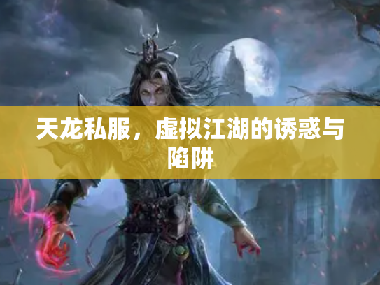 天龙私服，虚拟江湖的诱惑与陷阱