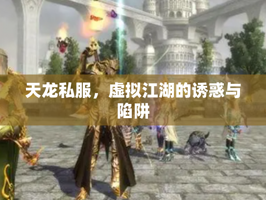 天龙私服，虚拟江湖的诱惑与陷阱
