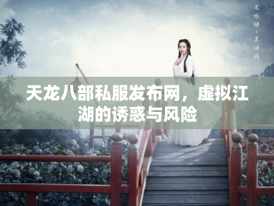 天龙八部私服发布网，虚拟江湖的诱惑与风险