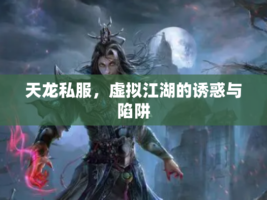 天龙私服，虚拟江湖的诱惑与陷阱