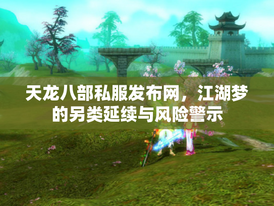 天龙八部私服发布网，江湖梦的另类延续与风险警示