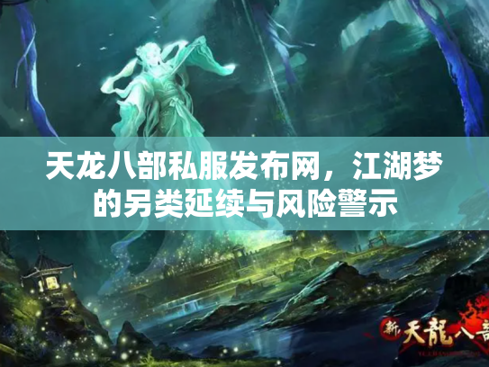 天龙八部私服发布网，江湖梦的另类延续与风险警示