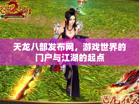 天龙八部发布网，游戏世界的门户与江湖的起点