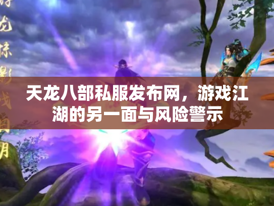 天龙八部私服发布网，游戏江湖的另一面与风险警示