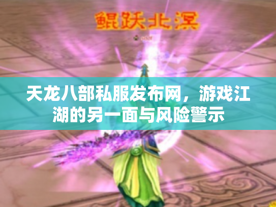 天龙八部私服发布网，游戏江湖的另一面与风险警示
