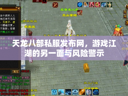 天龙八部私服发布网，游戏江湖的另一面与风险警示