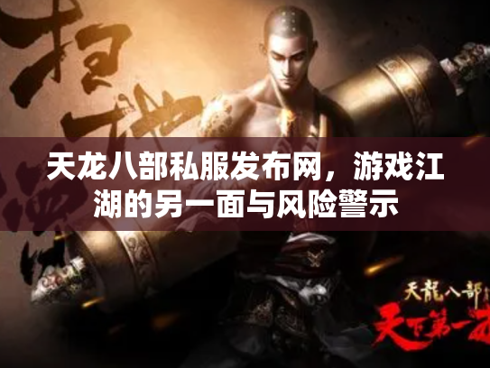 天龙八部私服发布网，游戏江湖的另一面与风险警示
