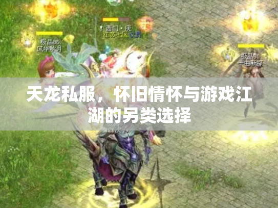 天龙私服，怀旧情怀与游戏江湖的另类选择