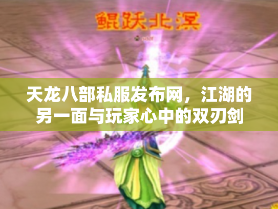 天龙八部私服发布网，江湖的另一面与玩家心中的双刃剑