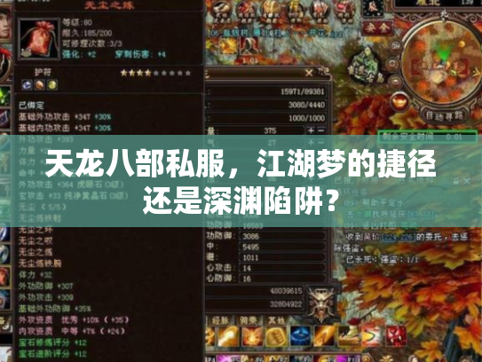 天龙八部私服，江湖梦的捷径还是深渊陷阱？