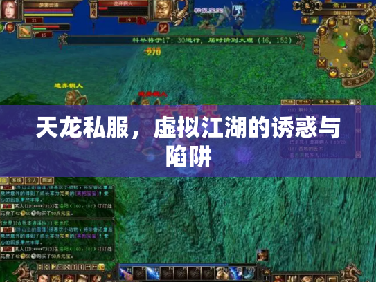 天龙私服，虚拟江湖的诱惑与陷阱