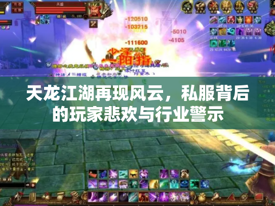 天龙江湖再现风云，私服背后的玩家悲欢与行业警示