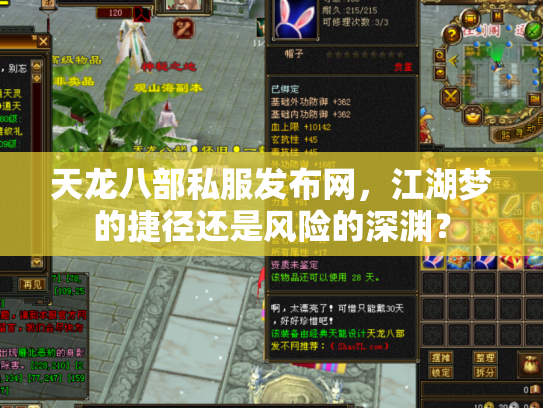 天龙八部私服发布网，江湖梦的捷径还是风险的深渊？