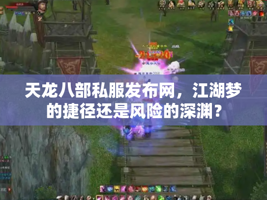 天龙八部私服发布网，江湖梦的捷径还是风险的深渊？