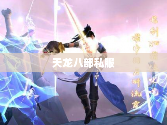 天龙八部私服