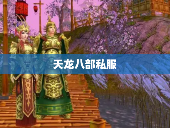 天龙八部私服