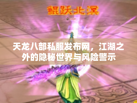 天龙八部私服发布网，江湖之外的隐秘世界与风险警示