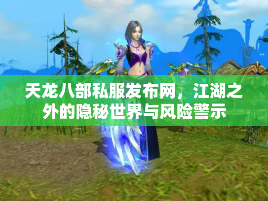 天龙八部私服发布网，江湖之外的隐秘世界与风险警示