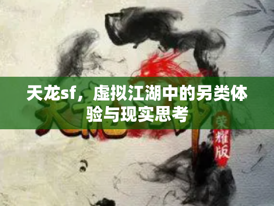 天龙sf，虚拟江湖中的另类体验与现实思考