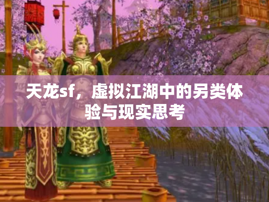 天龙sf，虚拟江湖中的另类体验与现实思考